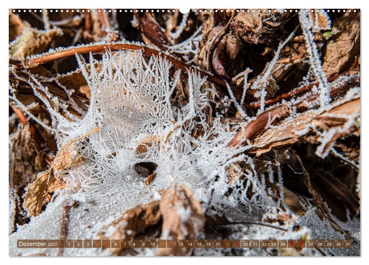 Farbe und Struktur in der Natur (Wandkalender 2027 DIN A2 quer), CALVENDO Monatskalender: Abwechsend farbenfrohe Details aus der Natur (CALVENDO Natur)