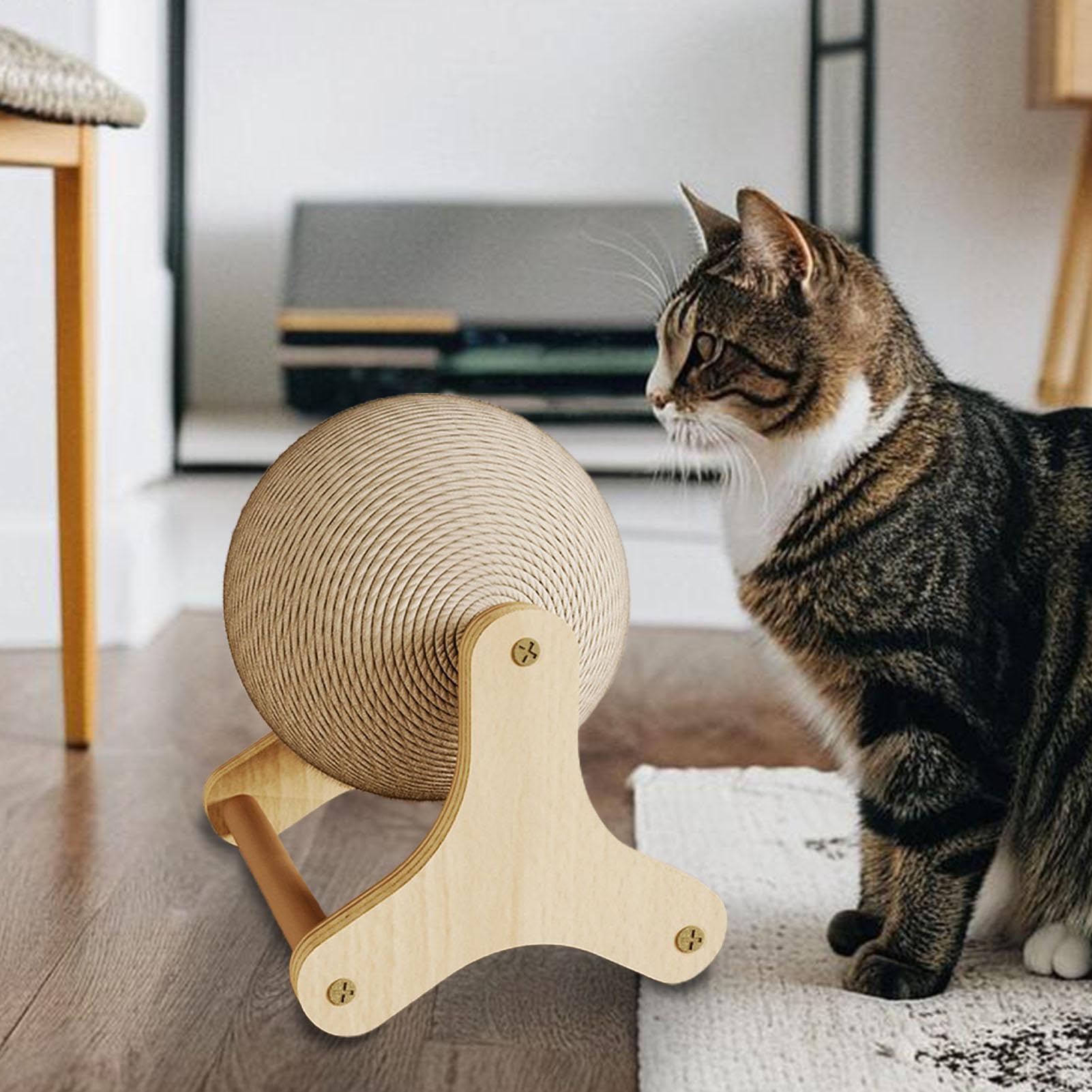 Ruota per Esercizi per Gatti - Sfera per Graffiare con Base Stabile, Dispositivo di Felino Interattivo, Istruttore di Attività Supportate dalla Trazione, Dispositivo di Arricchimento Dure