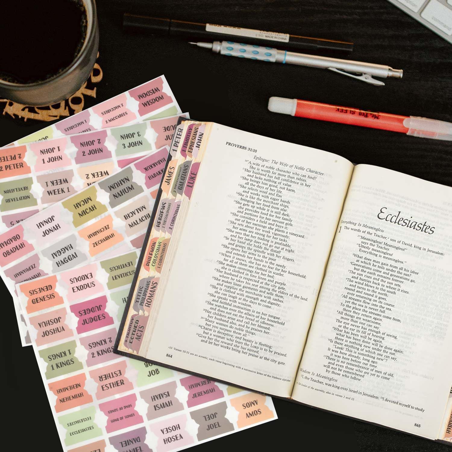 Snapklik.com : Spanish Bible Index Tabs New & Old Testament Tabs Matte ...