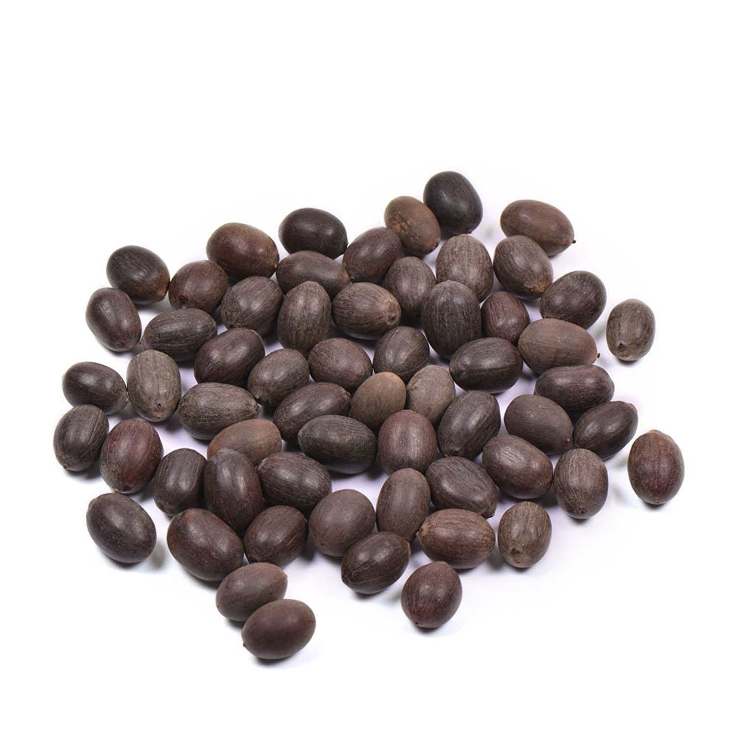 See full amazon price history chart for NEERAJ - Lotus Seeds - Kamal beej - Kamalgatta - hamarai Seeds - Tamara ginjalu - Kamal Gatte ke bij for Laxmi puja mala Havan Pujan - 51 Seeds NEERAJ - Lotus Seeds - Kamal beej - Kamalgatta - hamarai Seeds - Tamara ginjalu - Kamal Gatte ke bij for Laxmi puja mala Havan Pujan - 51 Seeds (B08KGGJN5W) Amazon Price History, Amazon Price Tracker