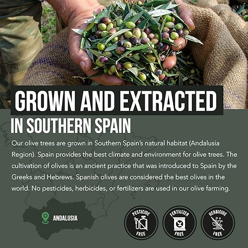 Miniatura 5 de Total Olive® - Extracto de hoja de olivo (40% oleuropeína) más extracto de fruta de oliva (20% hidroxitirosol) - Extracto de espectro completo