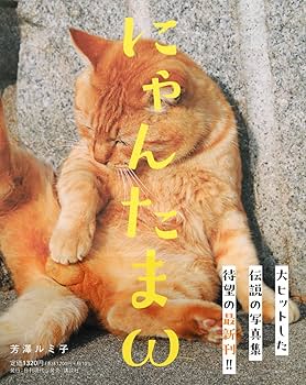 71A046y2uJL._AC_UF350,