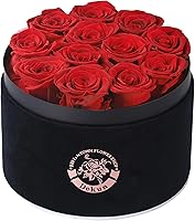 Vista 8 de Caja de regalo de 12 piezas de flores eternas, rosas eternas preservadas que duran de 1 a 3 años, rosa preservada para ella, día de San Valentín