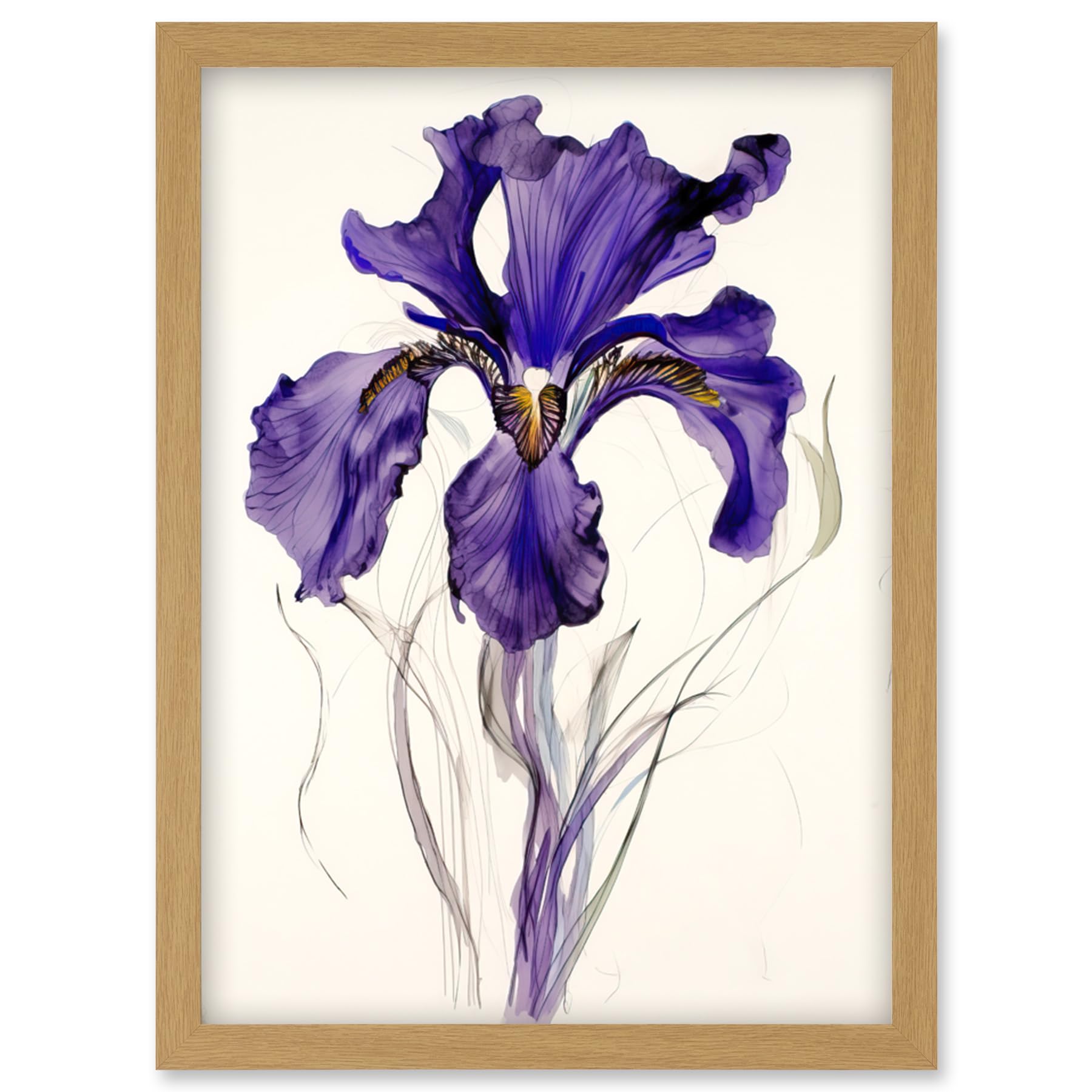 Artery8 Iris Reticulata Watercolour Flower Bloom Drawing Artwork Framed Wall Art Print A4