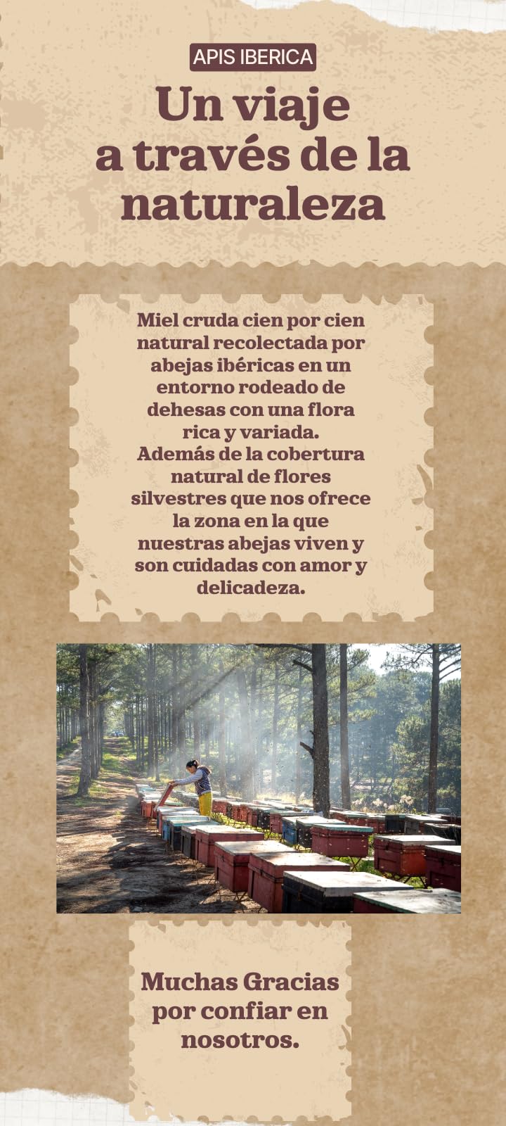 Miel Pura de Abeja-100% Origen España-Miel Cruda-1Kg-Miel Natural-Directa de Apicultor-Sin Procesar-Sin Pasteurizar. (Kg, Flores silvestres)