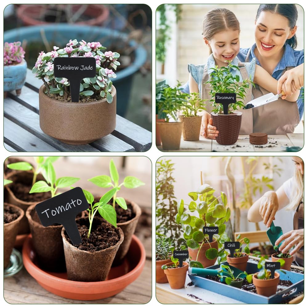 Etiquettes Plantes, Etiquette Semis,60X Etiquette Potager De Type T(6 X