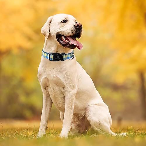 Miniatura 5 de Maca Bates - Collar azul de diseño a cuadros para niñas y niños, hembras y hombres, para Perros, Chihuahua, Pitbull, regalo de cumpleaños para