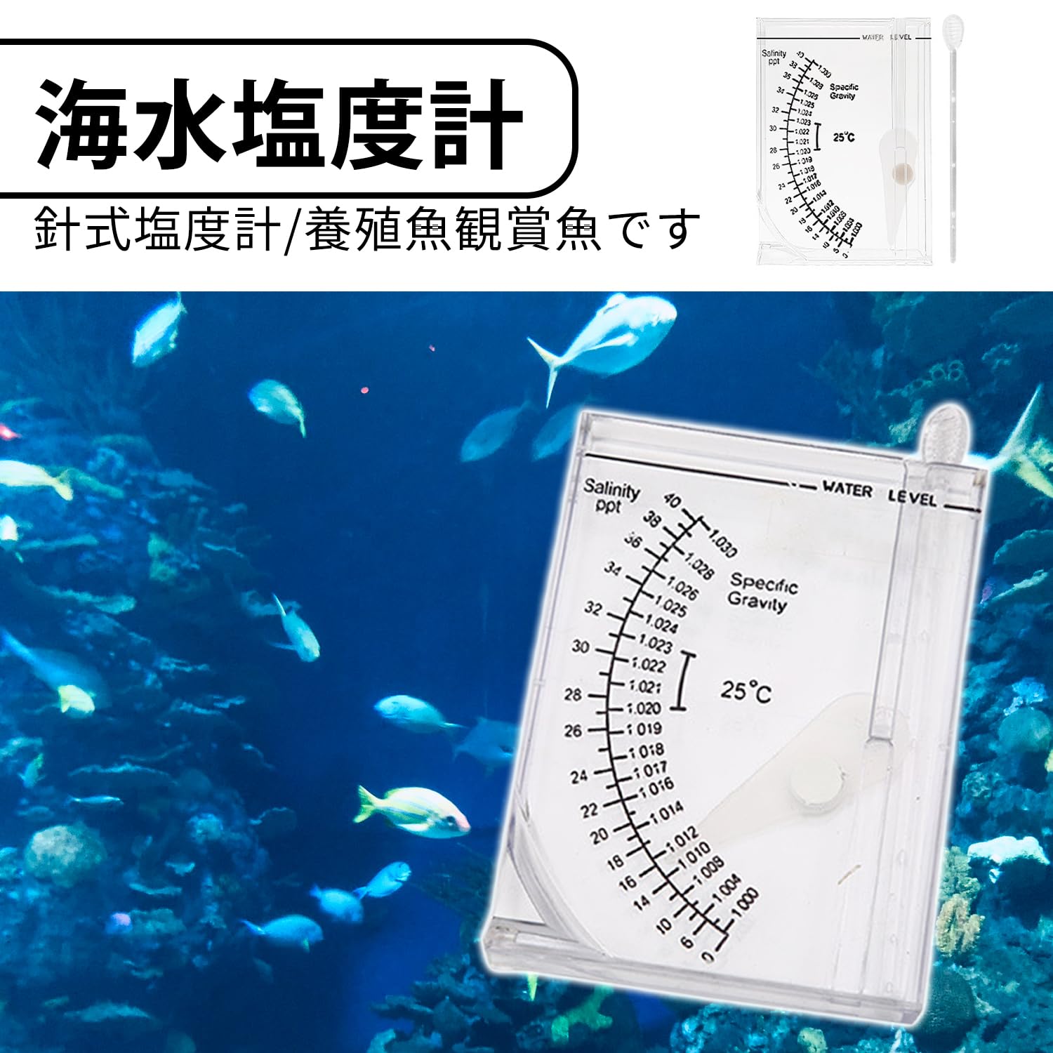 Amazon.co.jp: PAVIKE 水槽 比重計 塩分比重計 正方形 塩水 ハイドロ