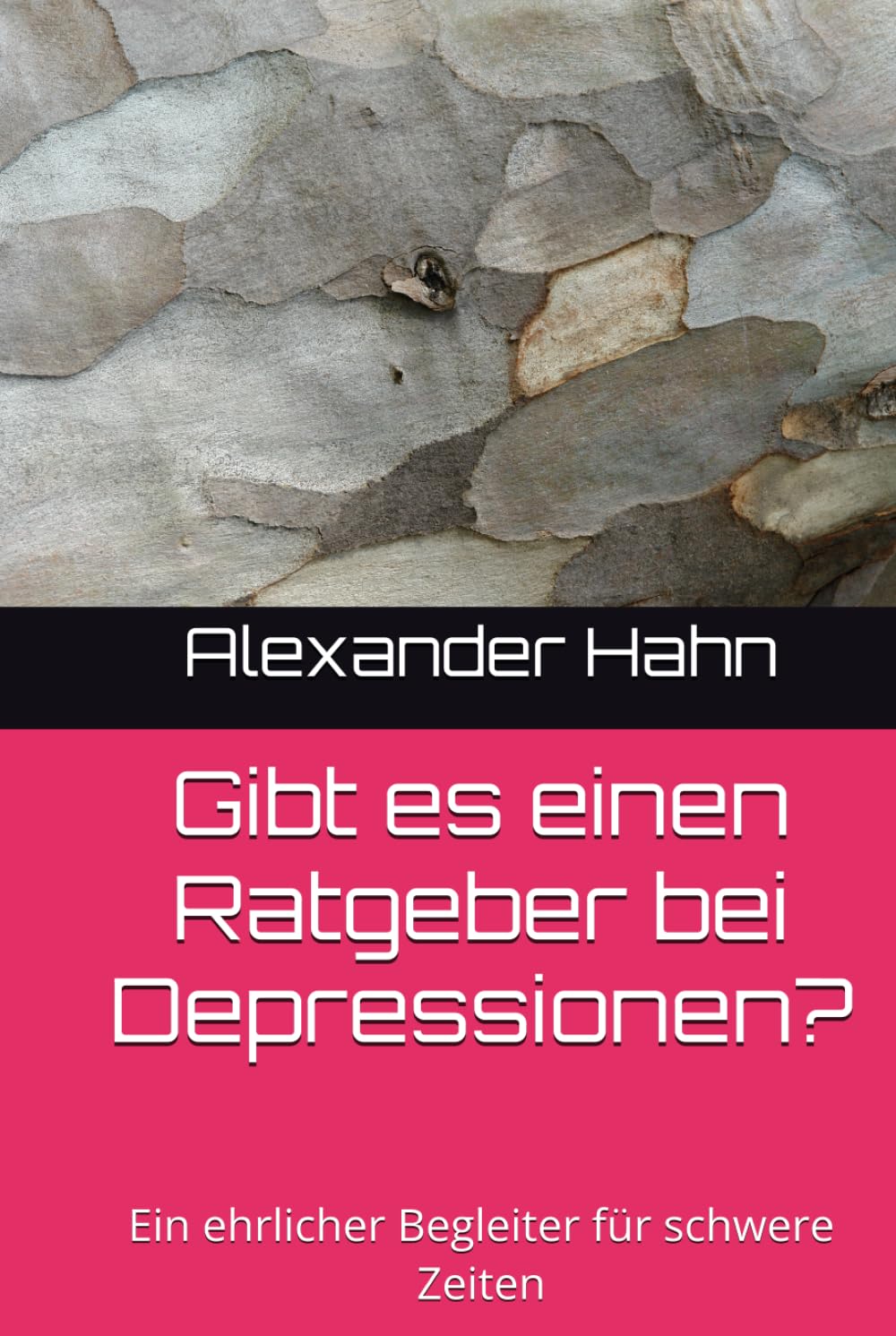 Gibt es einen Ratgeber bei Depressionen?: Ein ehrlicher Begleiter für schwere Zeiten