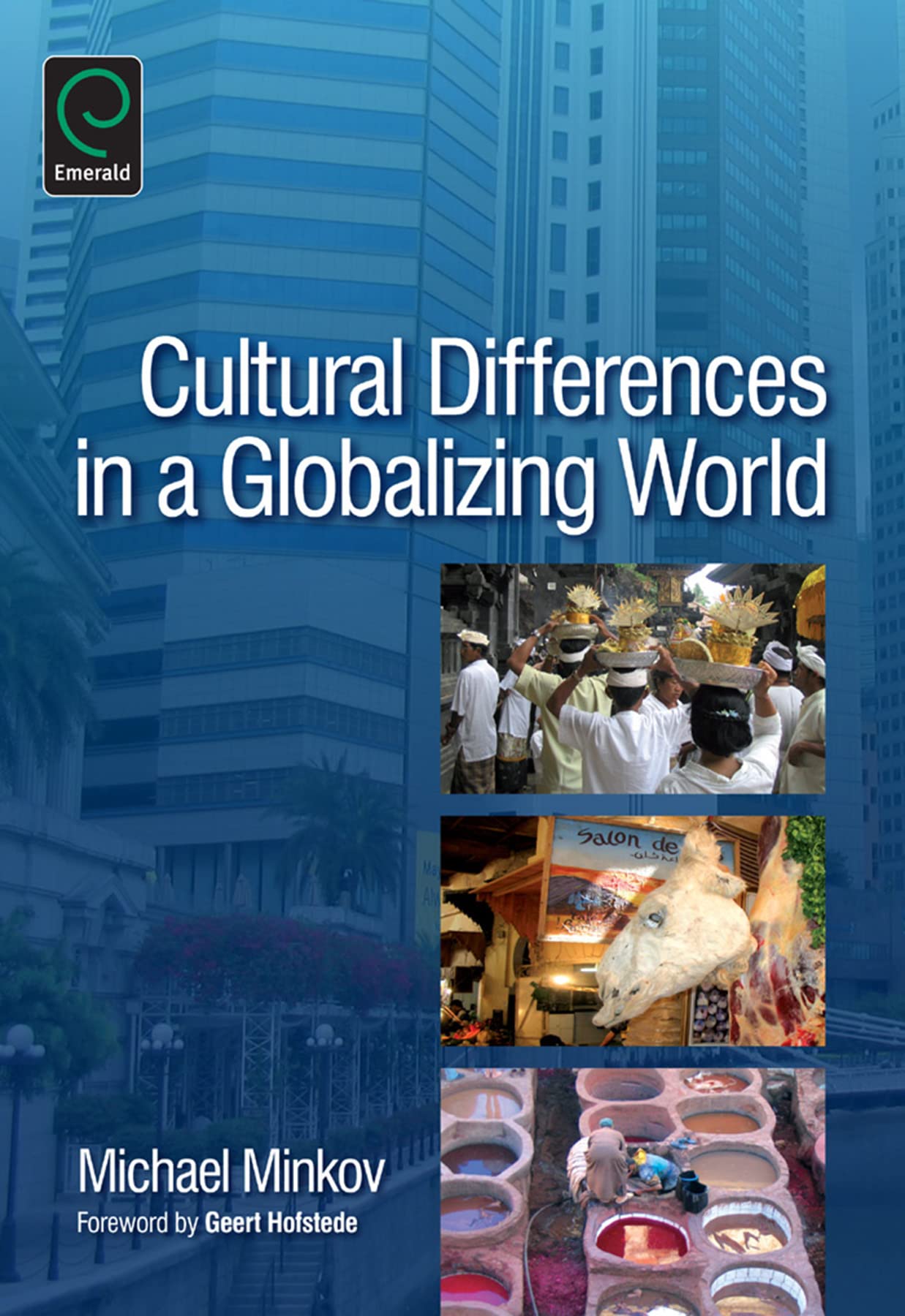 Buy Cultural Differences in a Globalizing World — BookShops.in