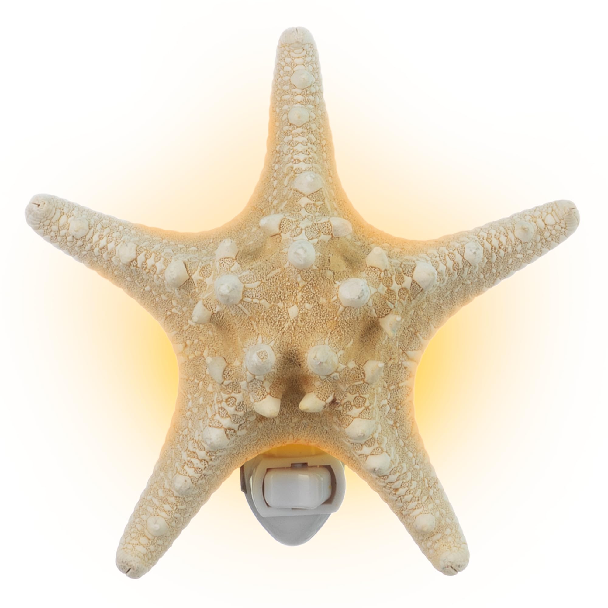 Nautical Crush Trading Real Starfish Night Light – Beach Night