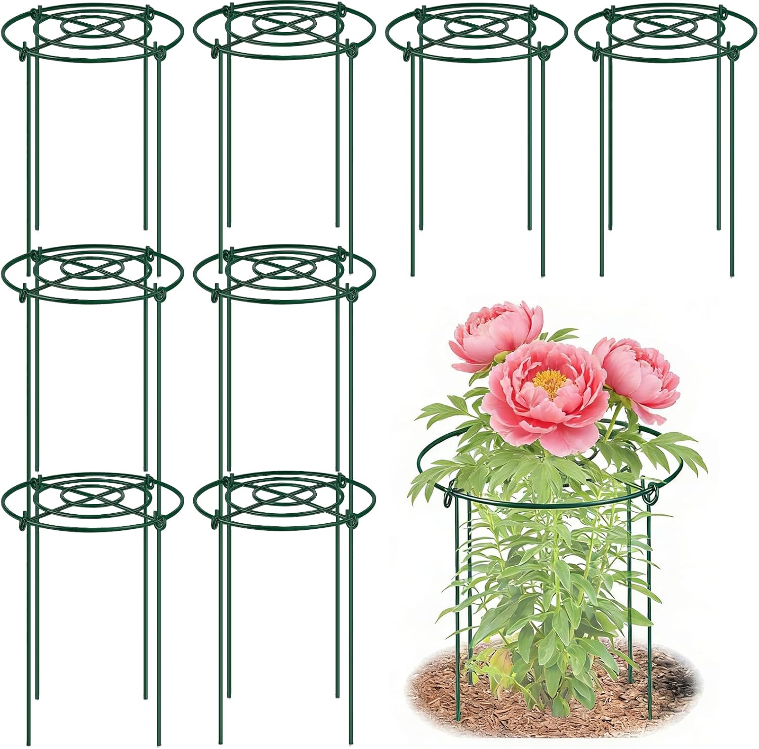DAYUMKOU 8 PackPeony Cages and Supports, 11.5" D x 16" H Plant Supports for Outdoor Plants, Heavy Duty Metal Peony Support Cage Flower Support Rings for Rose Hydrangea Strawberry