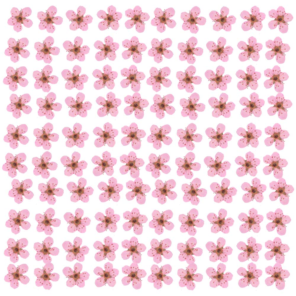 product_img5