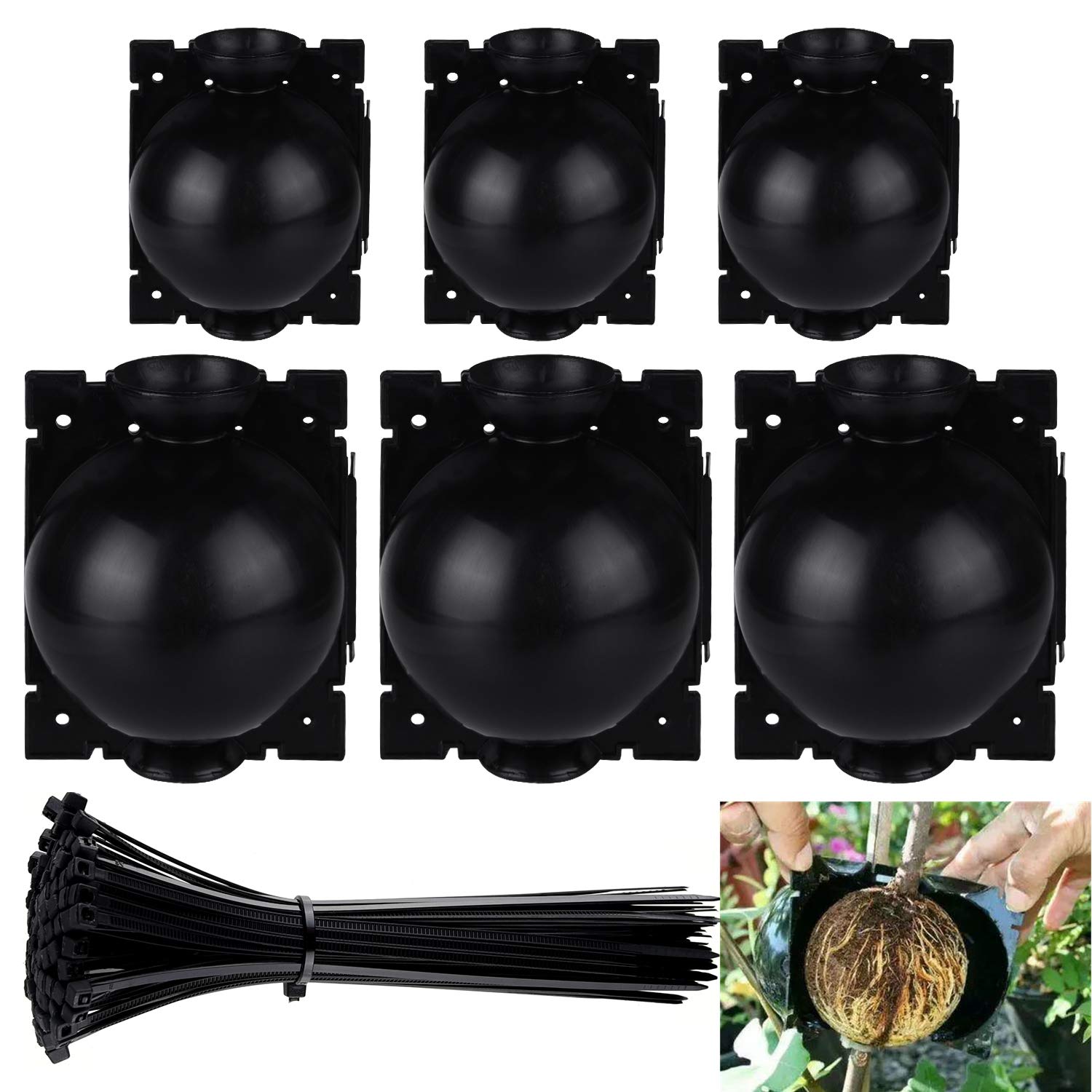 FEPITO 6 Pack Plant Rooting Device with 100 Pcs Nylon Self Locking Wire Ties, Plant Root Growing Box for Plant Propagation, Reasable Propagation Rooting Ball for Plant Cutting Seedlings