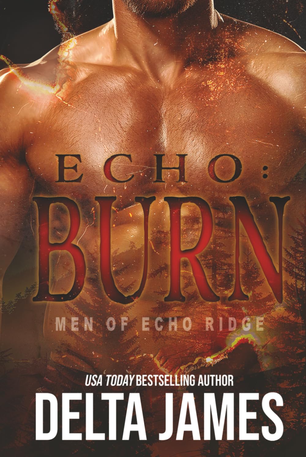 Echo: Burn: A Military Romantic Suspense (Men of Echo Ridge)