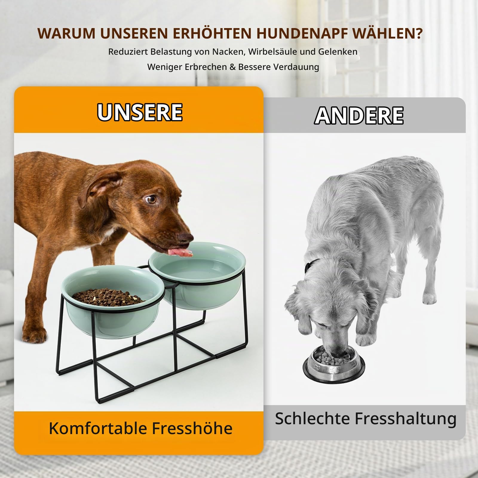 Erhöhter Hundenapf aus Keramik mit Metallständer - Doppelte Näpfe für Futter und Wasser - Fressnapf für mittelgroße Hunde - Grün