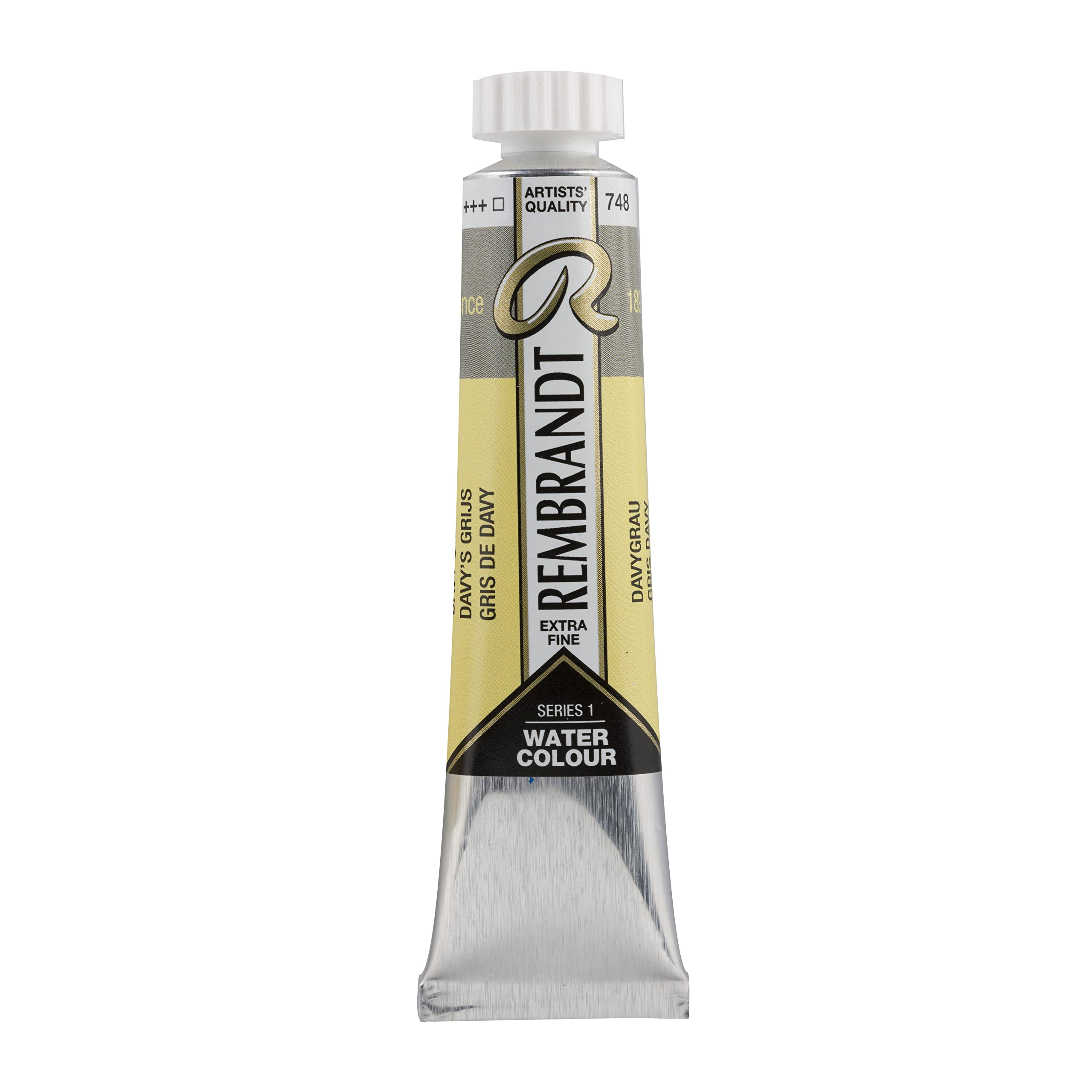 Rembrandt Davy's Grey Watercolour Tube 20 Ml - 748 - Professional Quality - Highest Lightfastness - Pure Gum Arabic & Premium Pigments