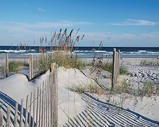 Heritage Puzzle Wild Dunes Jigsaw Puzzle 1000 Pieces - Beach Puzzles for Adults 1000 Piece Jigsaw Puzzle Beach Seashore Puzzle - Ocean Puzzles for Adults 1000 Piece - Beach Theme Jigsaw Puzzles