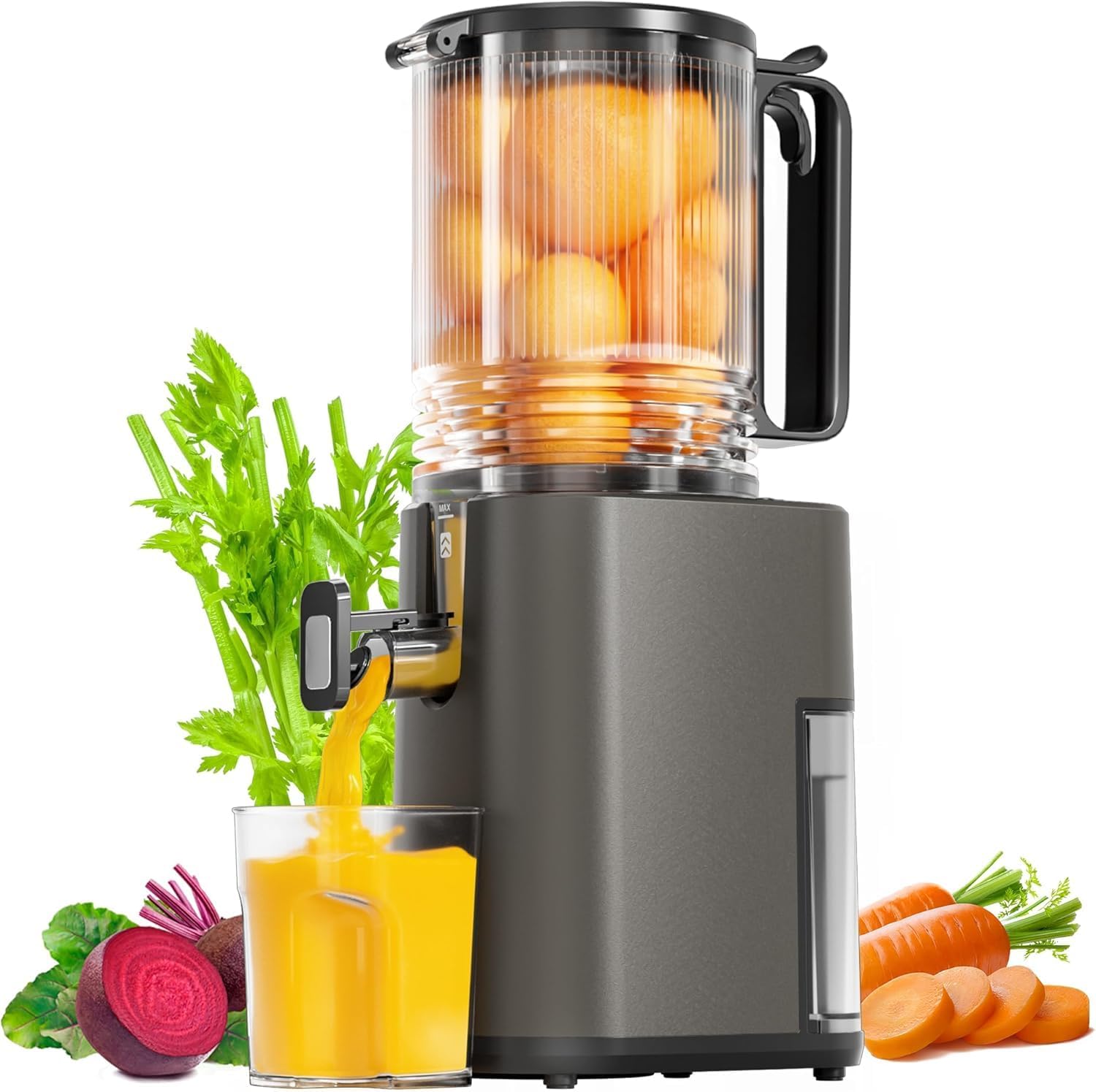 Cold Press Juicer