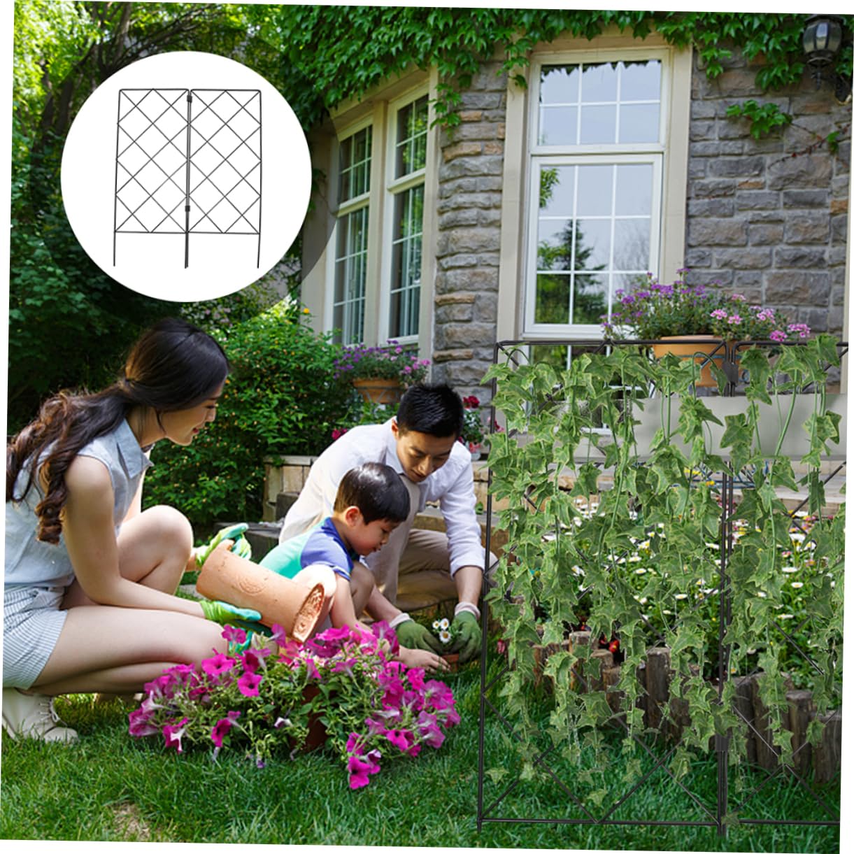 Supports pour Plantes Grimpantes Pliables en Fer, Lot de 2, Noir