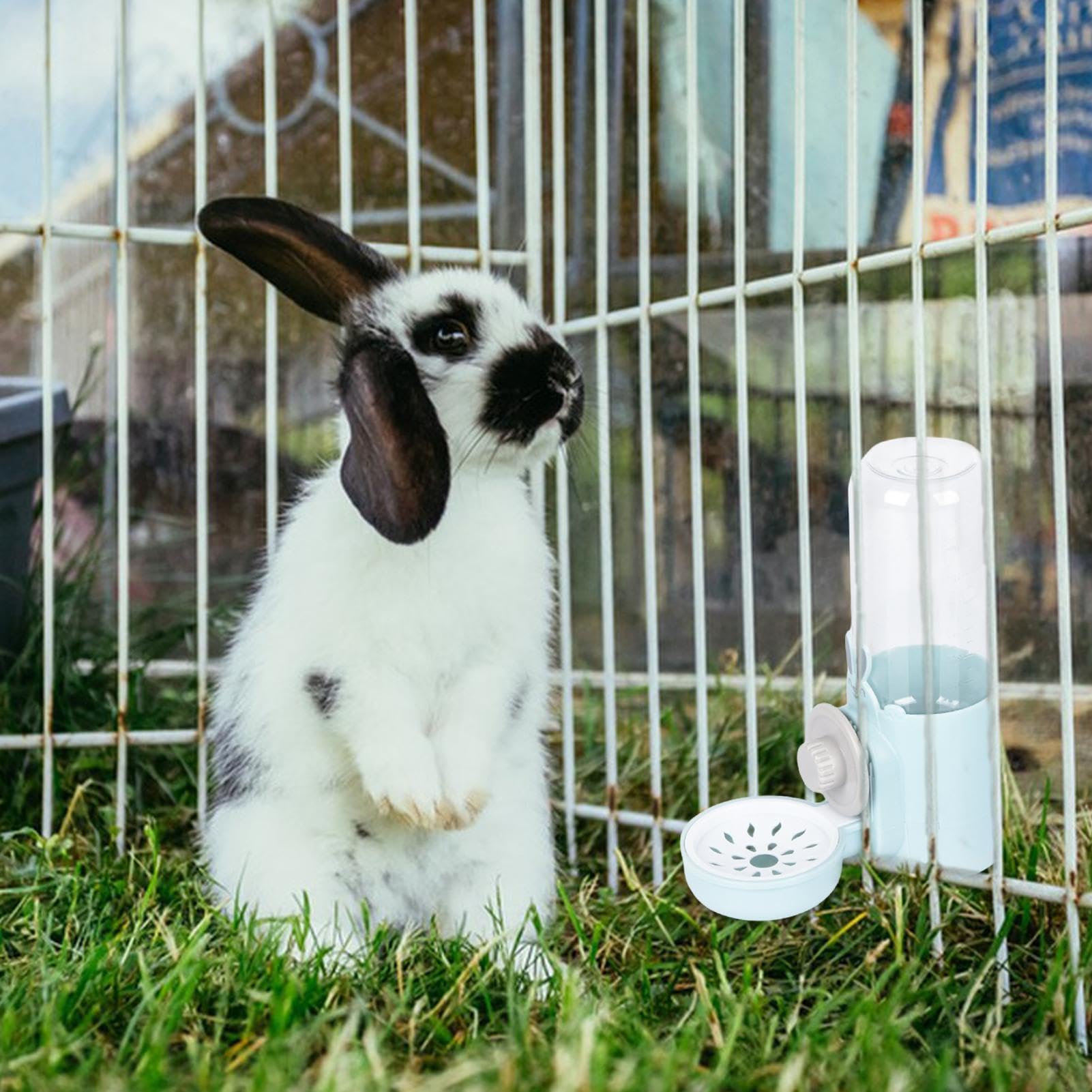 Andiker Distributeur Automatique De Nourriture Pour Hamster, 300ml