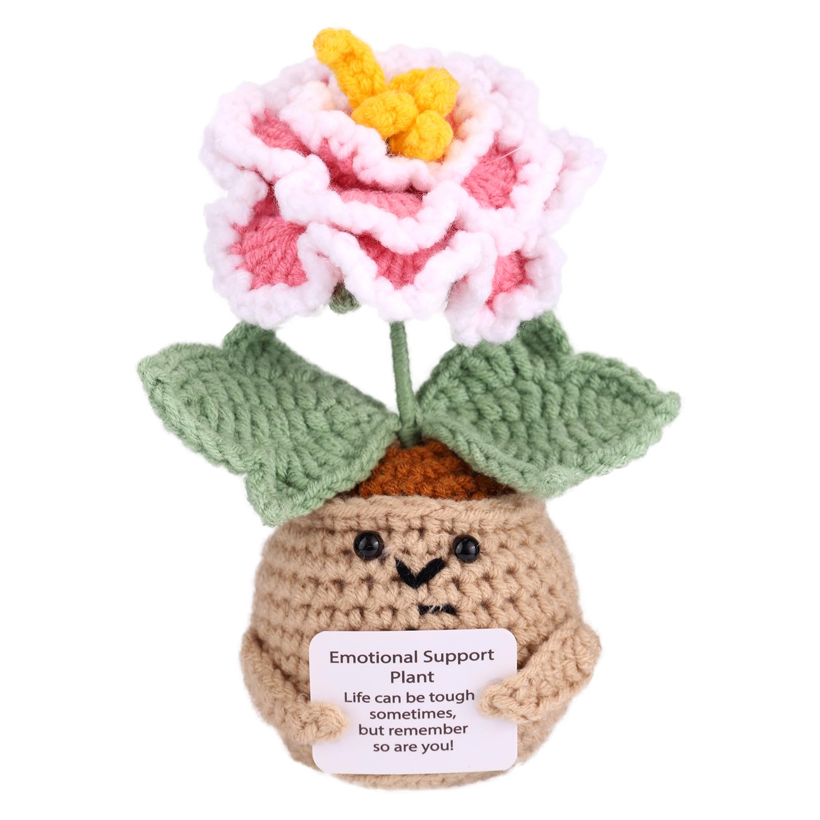 TOYMIS Inspirational Gift