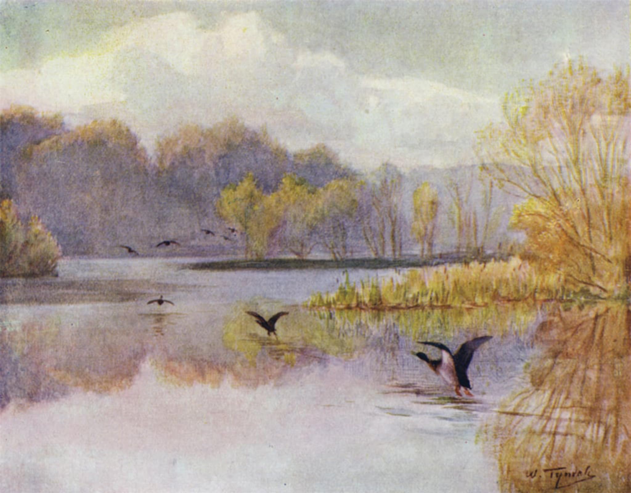POSTERIIk Famous Print Pop Art Wall Art Graffiti the New Forest the Pool At Minstead Mill by Walter Frederick Roofe Tyndale Art Prints for Home Decor 60x90cm