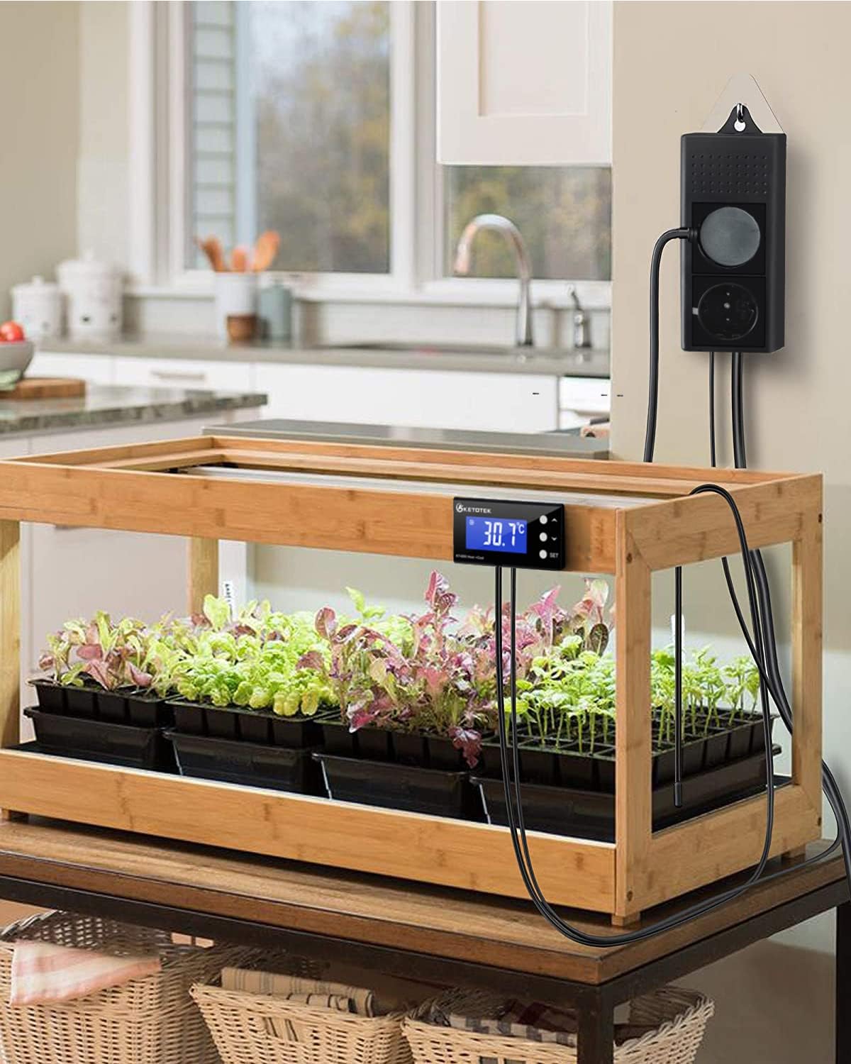 KETOTEK KT4000 Thermostat in Greenhouse Setup