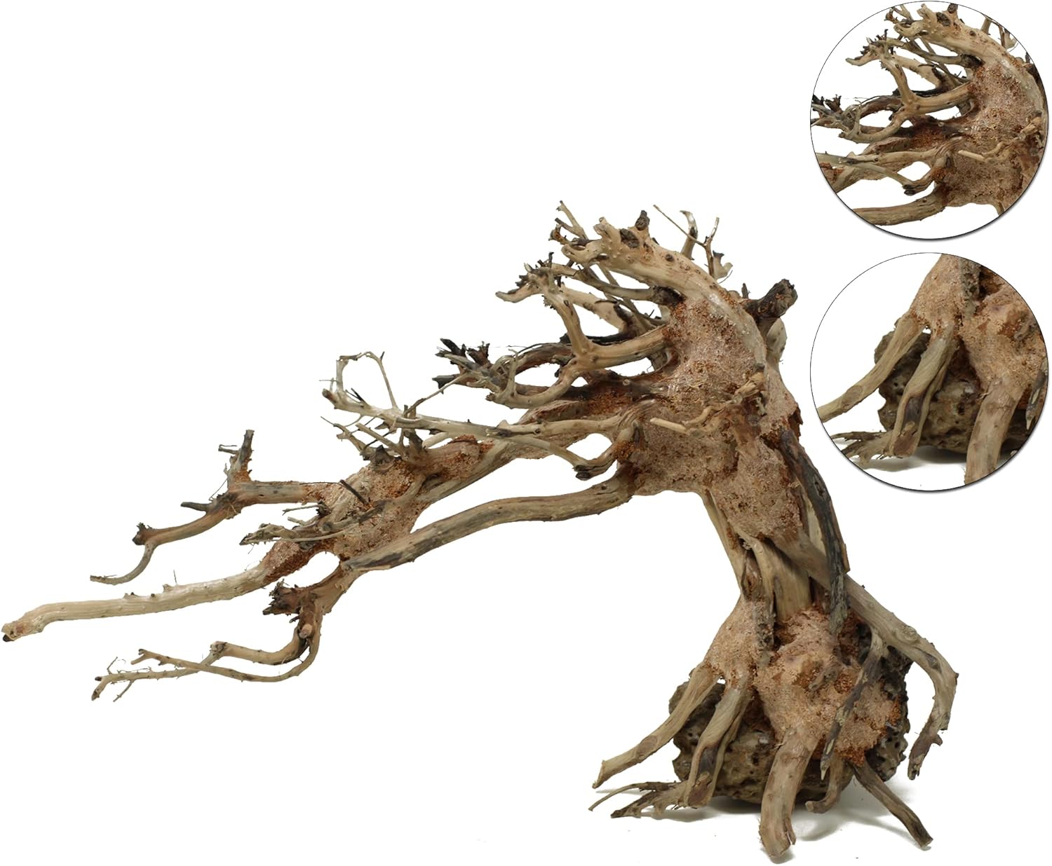 Aquarium Tree TT3 Random Pick (8in Height) Natural, Handcrafted Fish Tank Decoration | Easy to Install