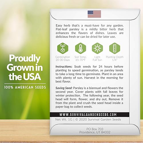 Miniatura 2 de Semillas de perejil italiano de hoja plana para plantar, variedad tradicional sin OMG, hierba de cocina clásica para cocinar en interiores o