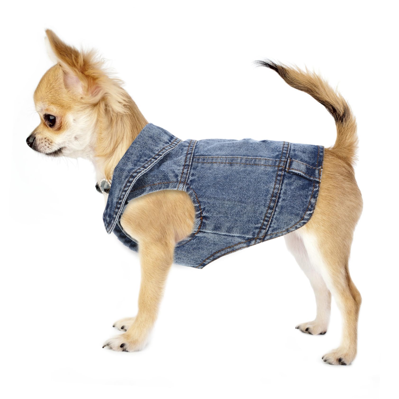 2 Pezzi Di Cappotti Per Cani Gilet in Denim Per Cani Di Piccola Taglia Cuccioli Abbigliamento Per Animali Domestici Gilet Per Cani Stile