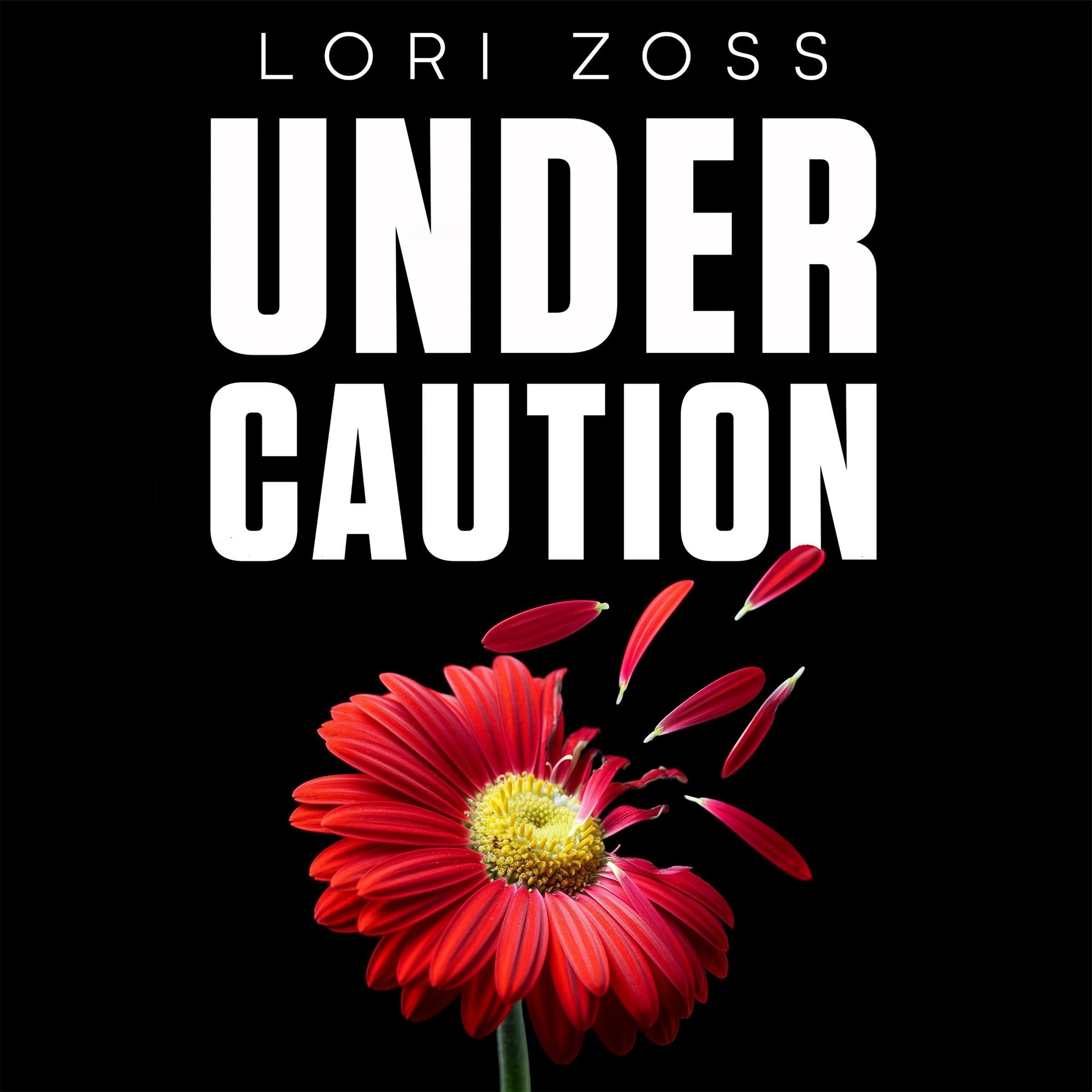 Under Caution book cover