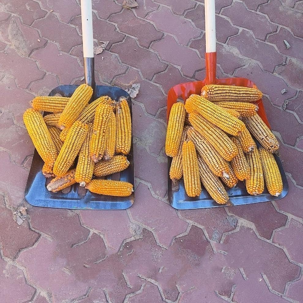 Pala de Grano para Jardín de Acero Manganeso 47x32 cm miniatura 4