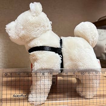 Amazon.co.jp: 忠犬ハチ公 秋田犬 国立科学博物館 ぬいぐるみ