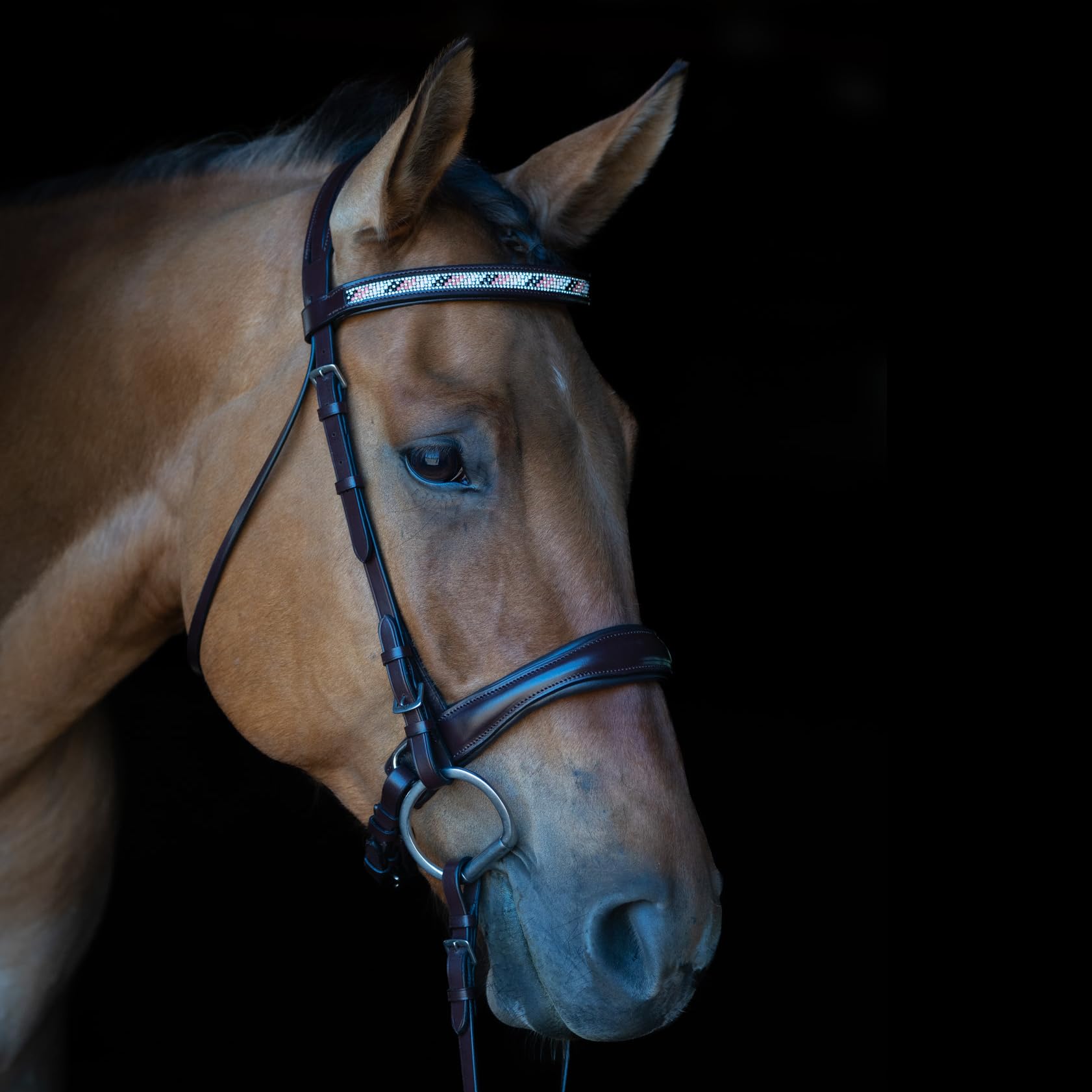 Grewal Equestrian Cologne Leather Snaffle Bridle with Beaded Browband, English Horse Tack, Havana, Full