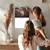 Vista 526 de Razas de Perros 2017