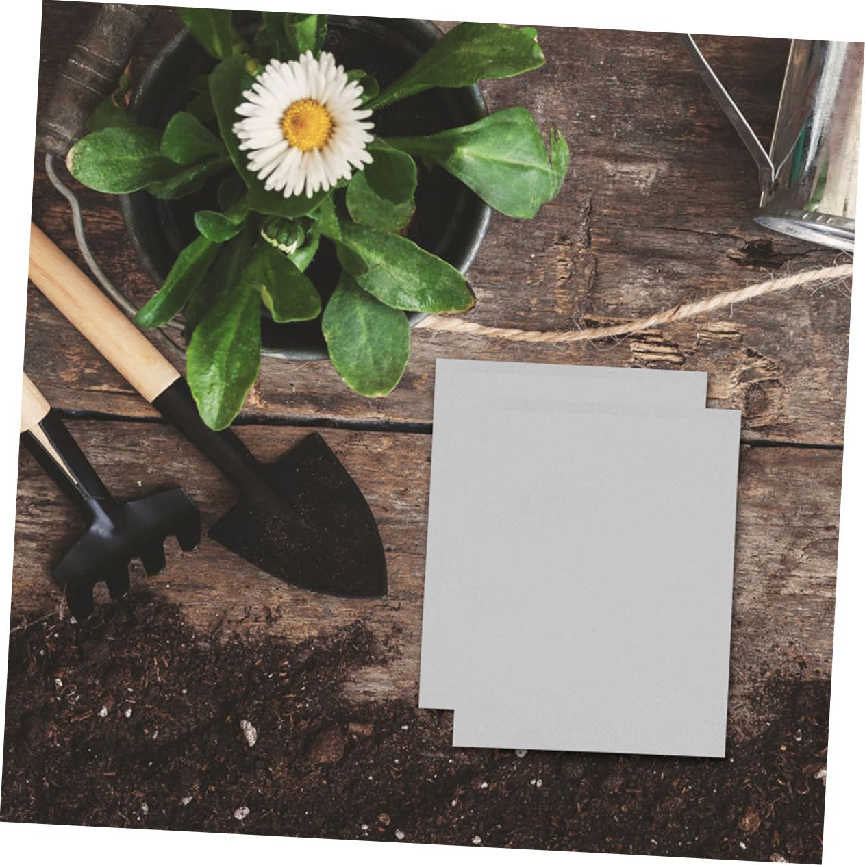 Milisten 3 Sätze Tasche Wachsen Gartenpflanzen Garden Plants Wurzelverstärkende Pflanzenbeutel Pflanzensack Pflanztüte Gartentaschen Sämling Stofftöpfe Pflanzbeutel Vlies Weiß 500 Stück * 3