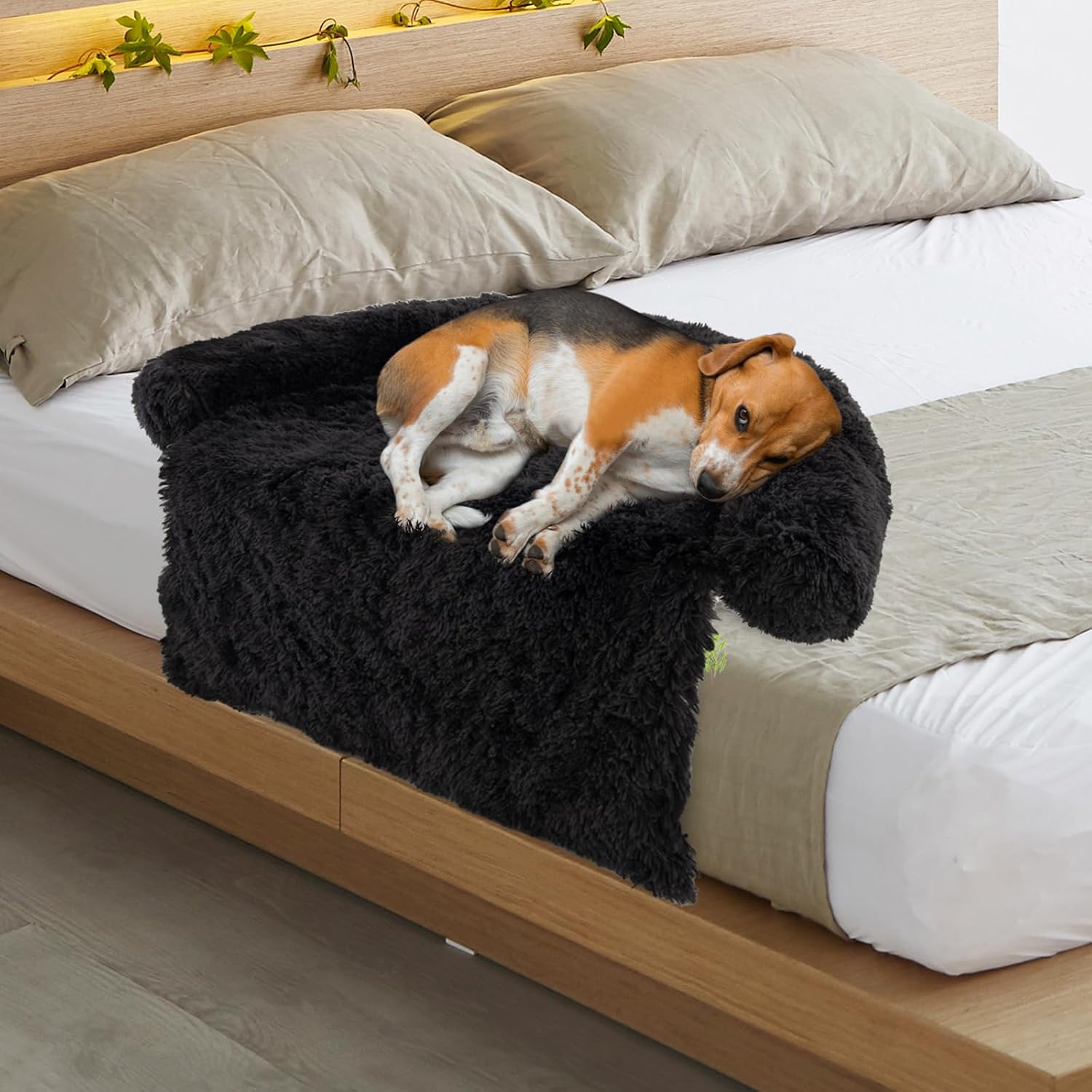 PETSITE Plush Calming Dog Bed, Fluffy Pet Bed for Couch with Washable Removable Cover and Soft Neck Bolster, Waterproof Dog Sofa Bed Furniture Protector Mats (Black, 44.0" L x 40.0" W x 7.0" Th)