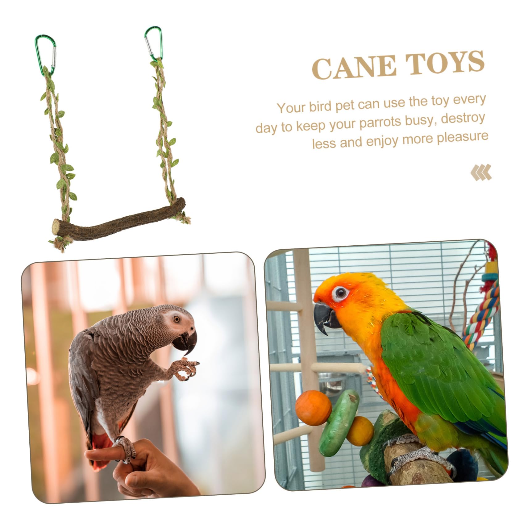 Yardwe 5pezzi Per Pappagalli Accessorio Per Per Parrocchetti Macaw e Canarini Per e Attività