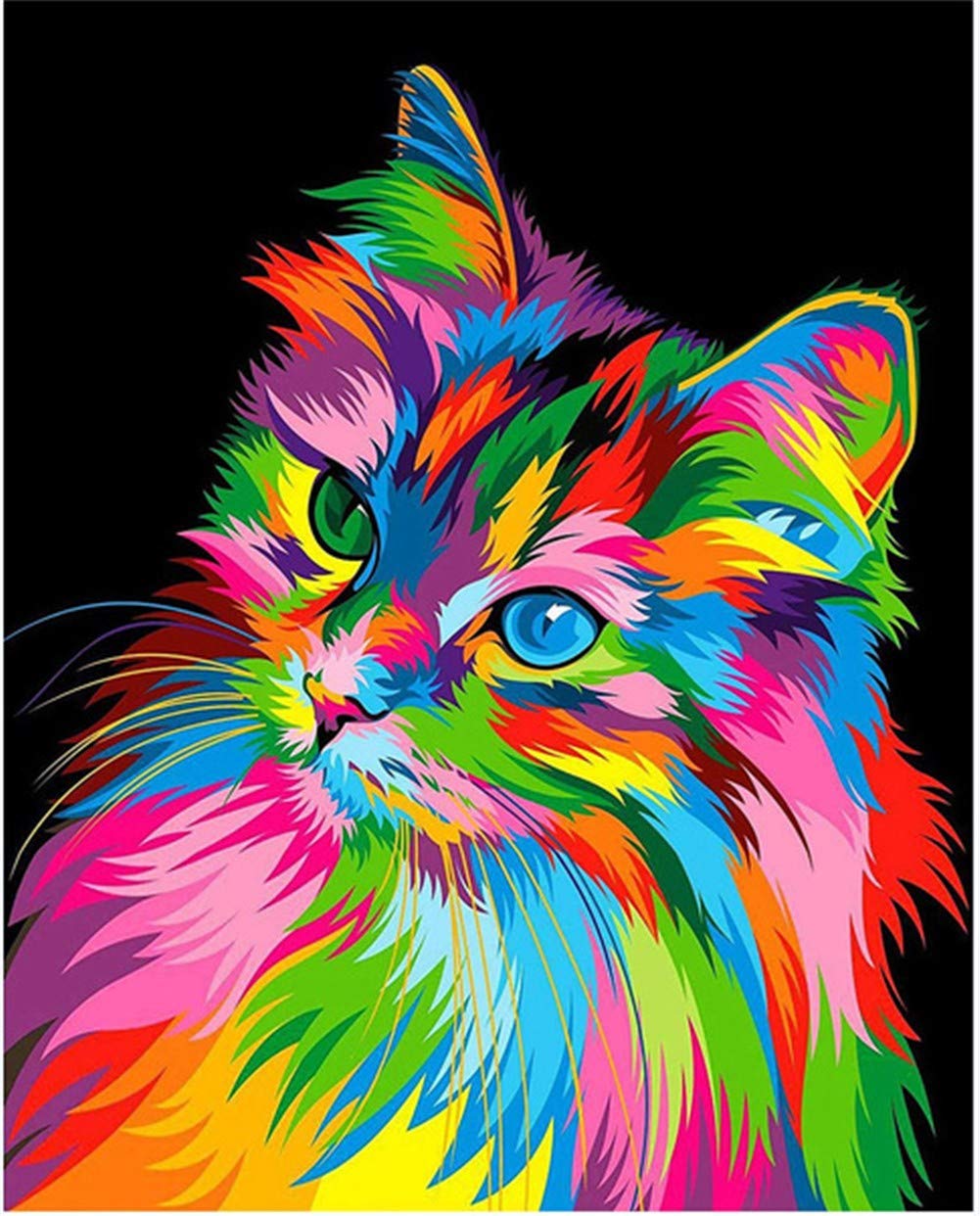 Peinture diamant chat coloré 50x70cm kit complet strass ronds pour déco salon