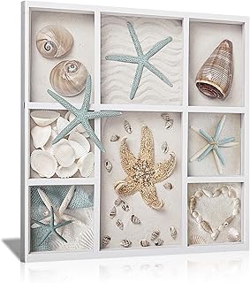 16×16 InchBeach Shells and Starfish Wall Art Coastal Decor Framed Print ...