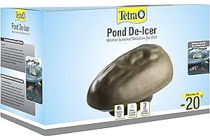 AquaTHRIVE Live Koi Fish For Sale