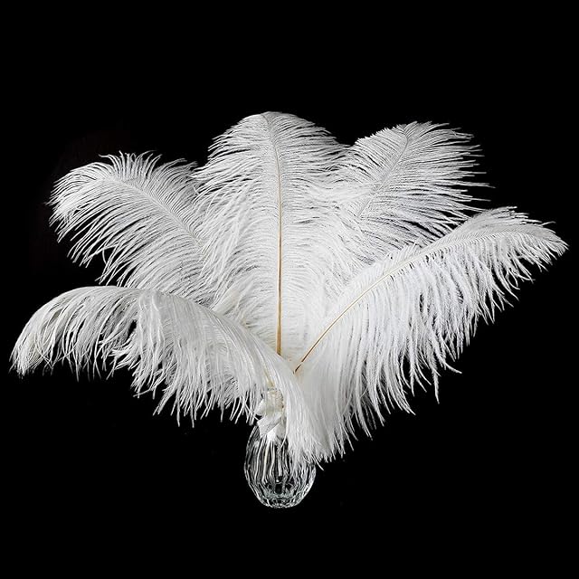 10 Pcs Ostrich Feathers, 10-12inch (25-30cm) Feathers for Crafts, Natural Ostrich White Plume for DIY Crafts Table Vase Home Wedding Holiday Decoration
