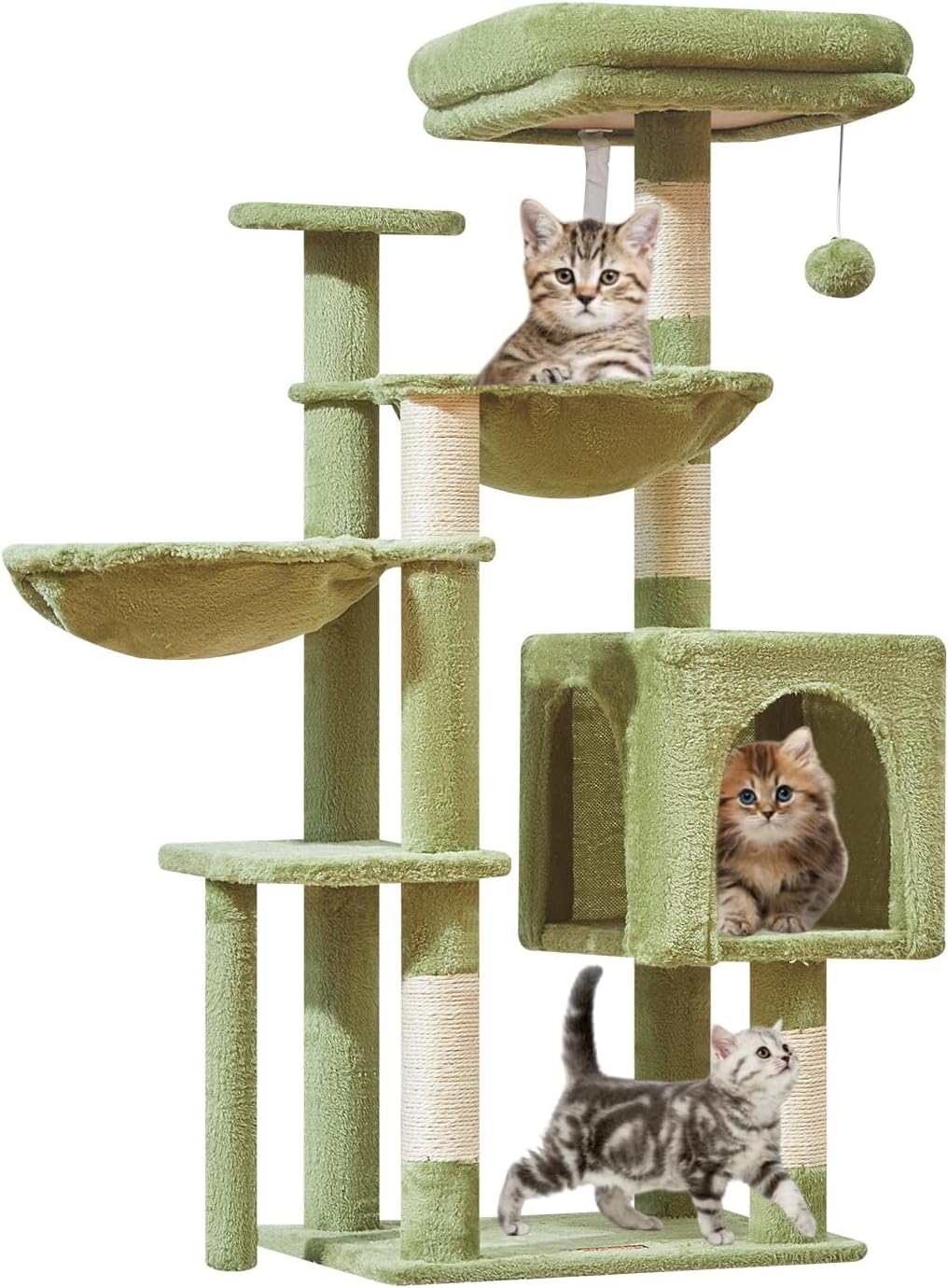 https://m.media-amazon.com/images/I/71A19fy8atL._AC_SL1500_.jpg