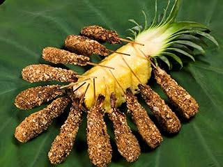 Les Chateau Butterfly Coconut Shrimp, 100 Pieces, Frozen, Crispy Gourmet Appetizer, Premium Shrimp Coated with Shredded Coconut and Japanese Breadcrumbs, Perfect for Chefs and Catering