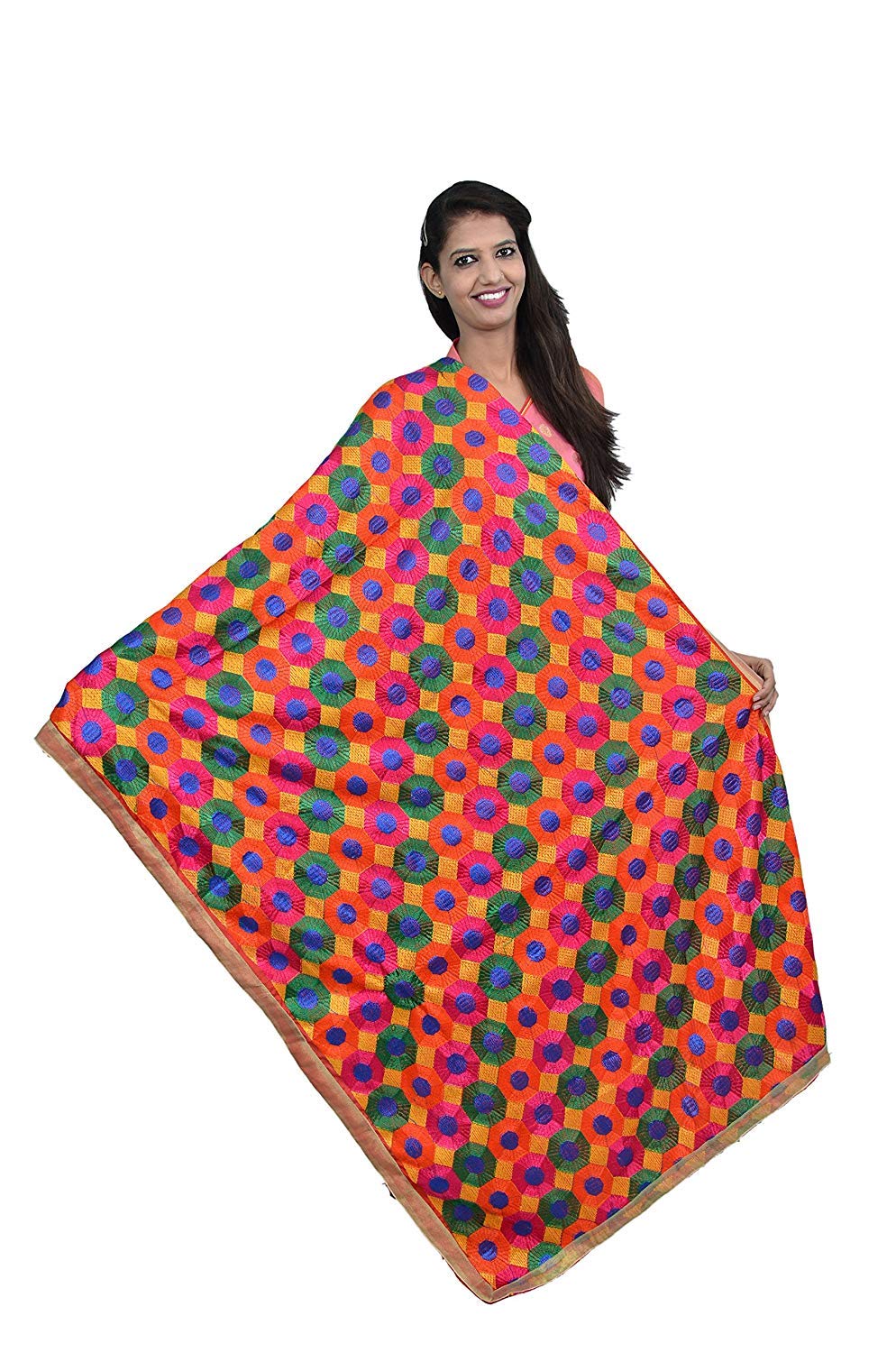 Hot House Crafts Women's Chiffon Phulkari Dupatta (HHC_18, Multicolour, Large)