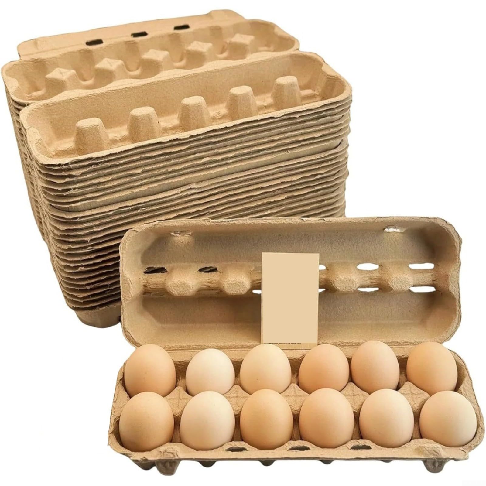 Eierkarton Aus Biologisch Abbaubarer Papiermasse Für 12 Eier Mit Stoßfestem Design Und Klarem Sichtfenster Für Sichere Aufbewahrung In Der Küche Weiß