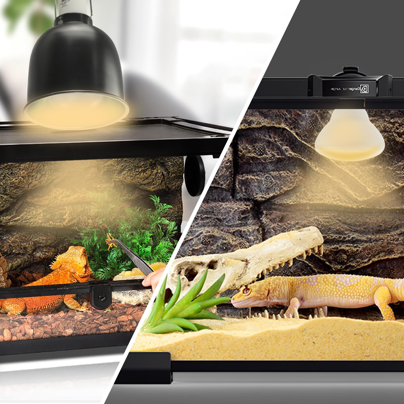 LUCKY HERP Infrarood reptielamp terrariumlamp 25W 2 stuks E27