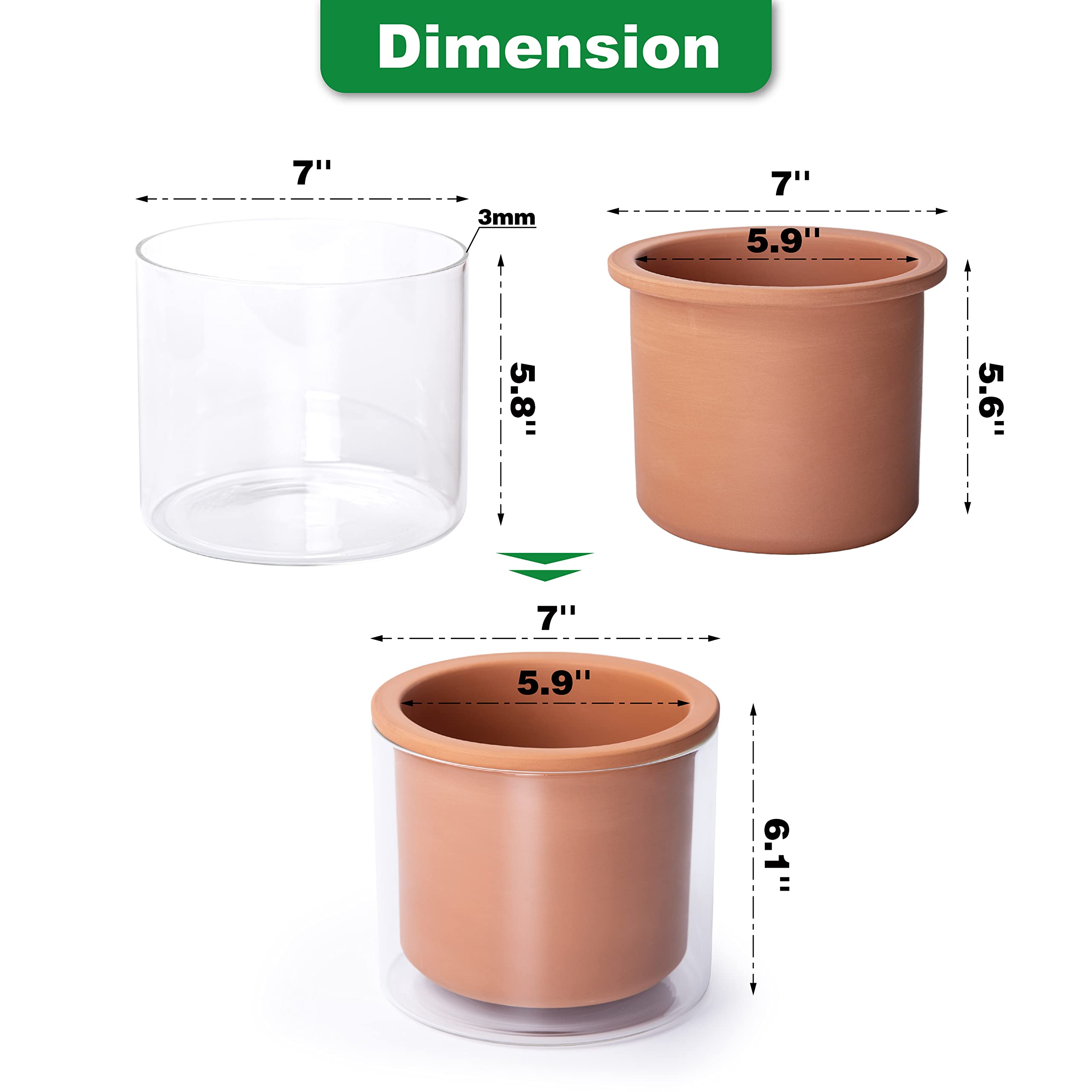 Phoenix Vine Vaso In Terracotta Autoirrigante 25,4 Cm – Nero Con Serbatoio In Vetro Per Piante Da Interno