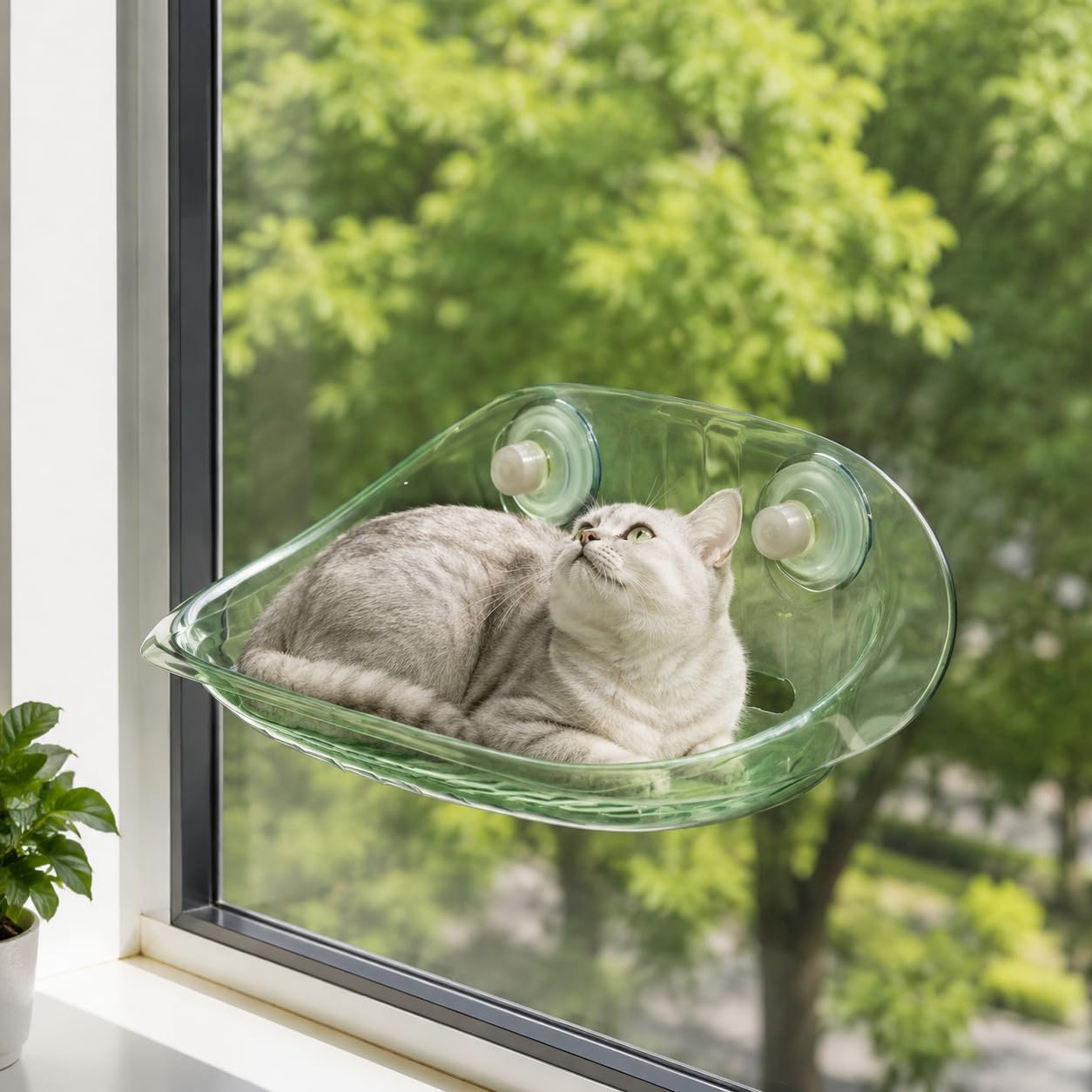 B Baosity Hamaca para Ventana de Gato Reforzada Estructura en Material AS Resistente y Transpirable con Fácil Montaje Adecuada para Estimular la Relajación de, Verde Ágata
